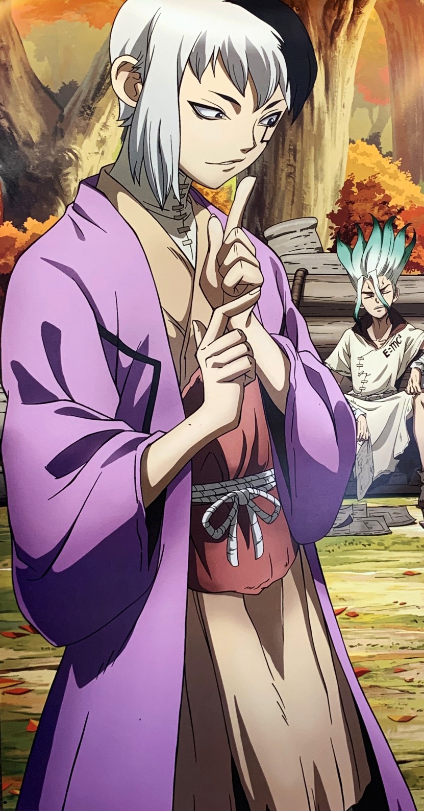 man with half grey and white hair wearing layered clothing with purple robe